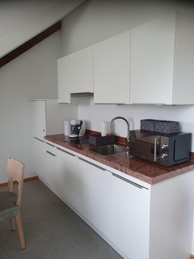 Apartamento Gutshof Seenland Seekirchen am Wallersee Exterior foto
